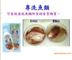 廈門臺灣洗滌用品潔康 優(yōu)質(zhì)家居清潔選擇與市場機(jī)遇