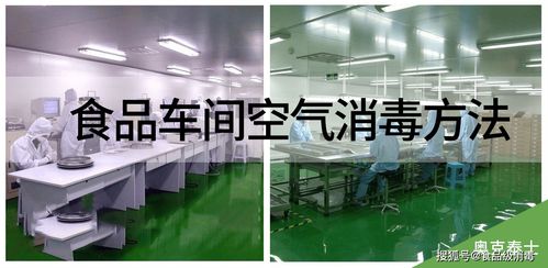 食品生產(chǎn)車間空氣消毒的三大有效方法與霉菌消毒劑應(yīng)用指南