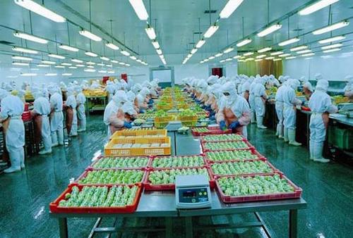 互聯(lián)網(wǎng)開啟山東食品加工新模式