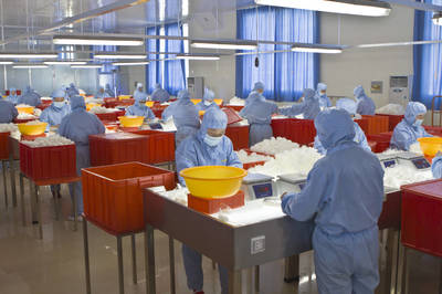 招遠重點項目新春跑出“加速度”，保健食品生產迎新篇章