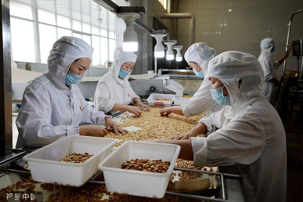 臨沂食品企業 深加工花生，提升農產品附加值，打造國家保健食品生產新標桿