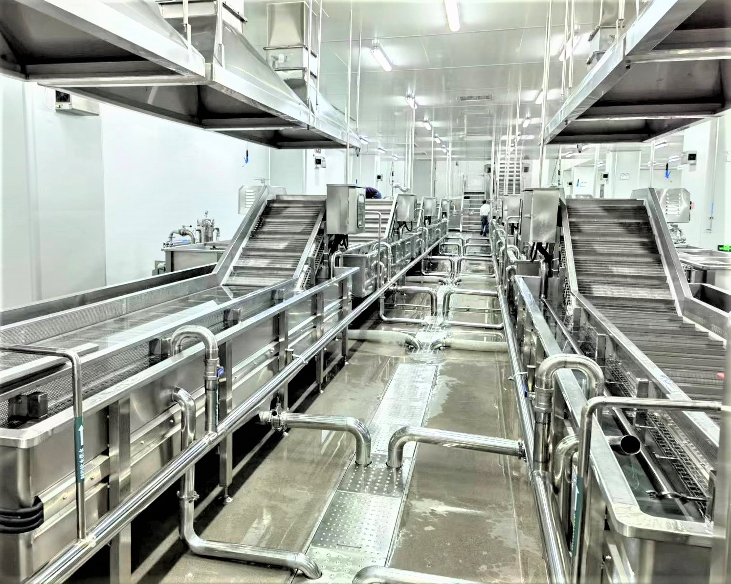 速凍蔬菜生產線專用機械設備 現代食品生產的高效引擎