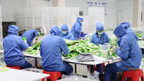 峽谷突圍記 解碼鹽津 百億gdp 背后的產業密碼