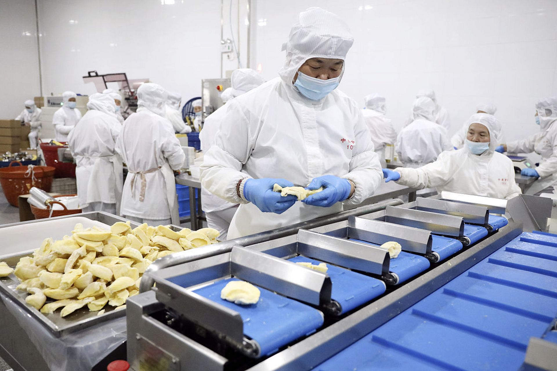 保健食品生產中食品車間霉菌控制的技術與策略